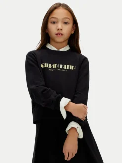 Calvin Klein Jeans Bluza IG0IG03069 Czarny Regular Fit
