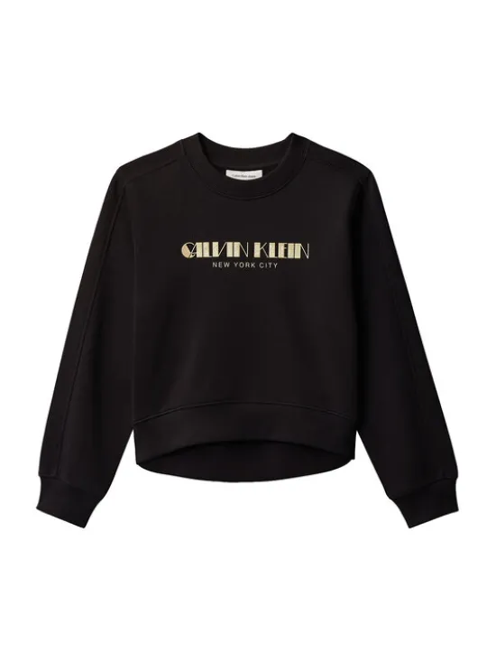 Calvin Klein Jeans Bluza IG0IG03069 Czarny Regular Fit