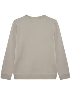Calvin Klein Jeans Bluza Inst Logo IU0IU00680 D Szary Regular Fit