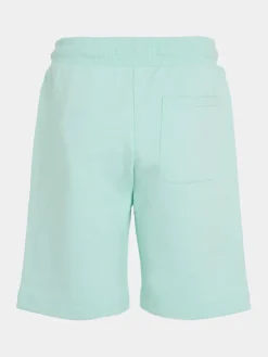 Calvin Klein Jeans Szorty sportowe Minimalistic IB0IB02061 Niebieski Regular Fit