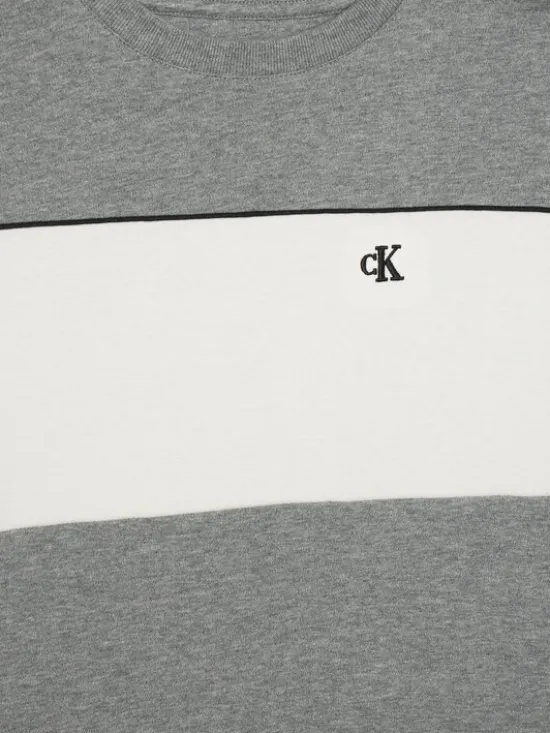 Calvin Klein Jeans T-Shirt LVCKTJA41B Szary Regular Fit