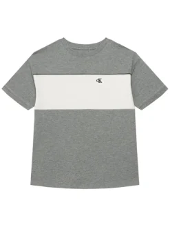 Calvin Klein Jeans T-Shirt LVCKTJA41B Szary Regular Fit