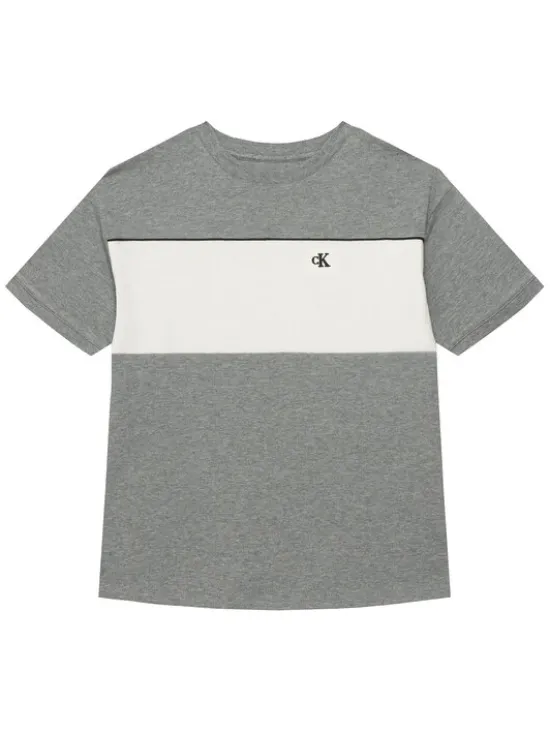 Calvin Klein Jeans T-Shirt LVCKTJA41B Szary Regular Fit