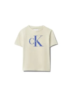 Calvin Klein Jeans T-Shirt Monologo LV1CKSJA33 Szary Regular Fit