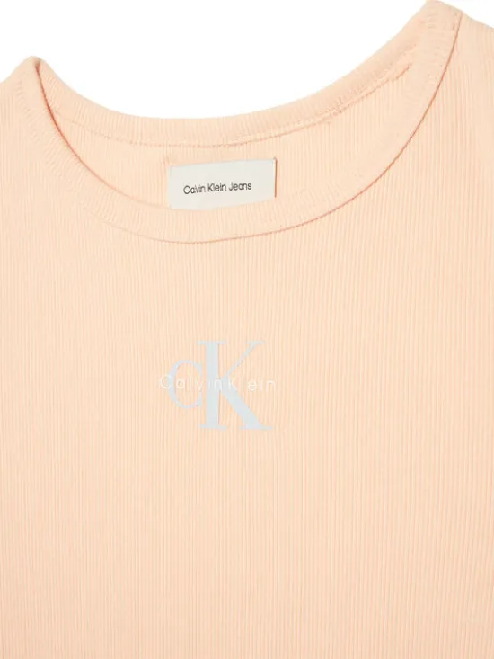 Calvin Klein Jeans T-Shirt Monologo LVCKSJB11G Pomarańczowy jasny Regular Fit