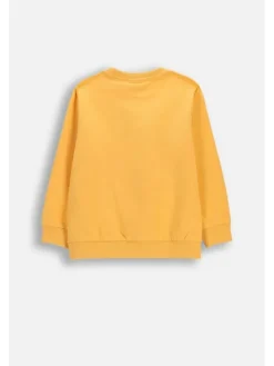 Coccodrillo Bluza WC6132101MBK-006 Pomarańczowy Regular Fit