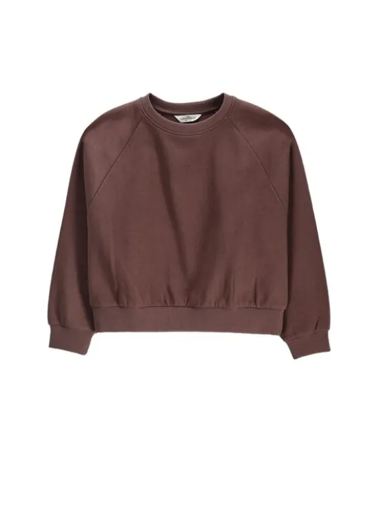 Coccodrillo Bluza ZC6132604VGA-018 Brązowy Regular Fit