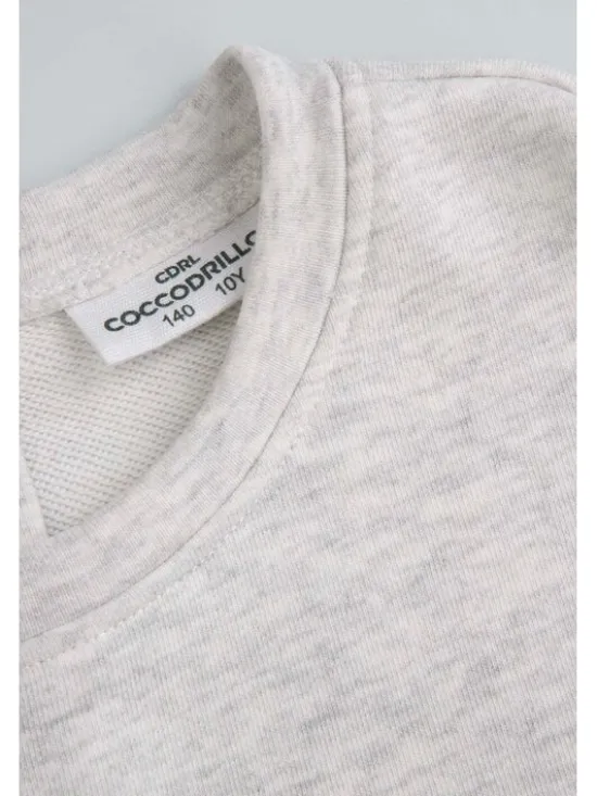 Coccodrillo Bluza ZC5132601WGJ-019 Szary Regular Fit