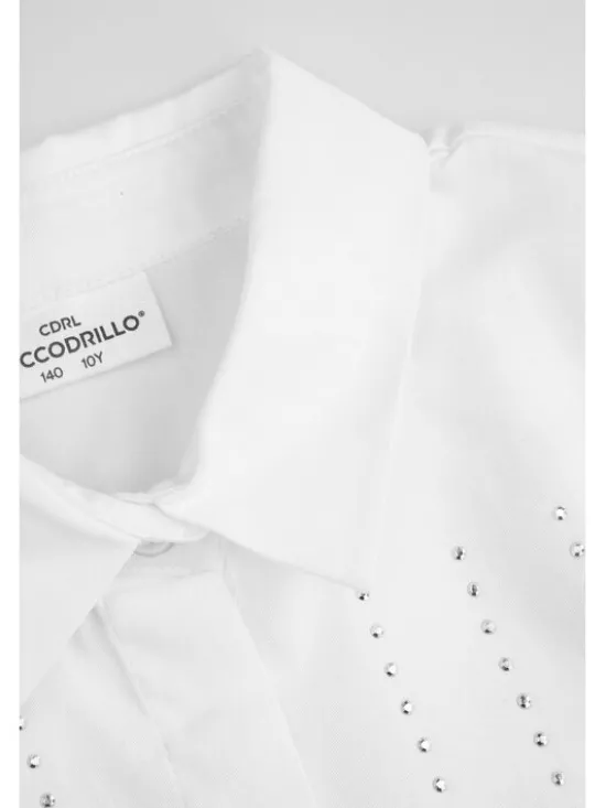Coccodrillo Koszula WC5140103BSG-001 Biały Regular Fit