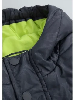 Coccodrillo Kurtka zimowa ZC5152108OBK-020 Szary Regular Fit