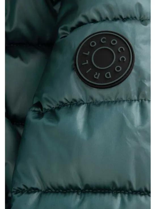 Coccodrillo Kurtka zimowa ZC5152111OGJ-011 Zielony Regular Fit