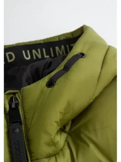 Coccodrillo Kurtka zimowa ZC5152105OBJ-012 Zielony Regular Fit