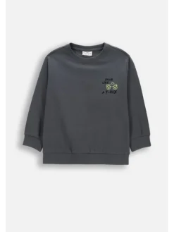 Coccodrillo Longsleeve WC6143103NBK-020 Szary Regular Fit