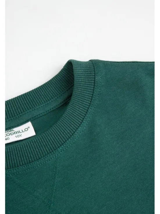 Coccodrillo Longsleeve ZC6143103ABJ-022 Kolorowy Regular Fit