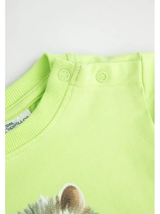 Coccodrillo Longsleeve ZC6143102FBN-030 Żółty Regular Fit