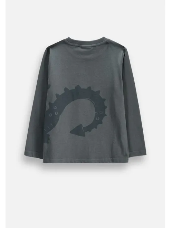 Coccodrillo Longsleeve ZC6143101RBK-020 Szary Regular Fit