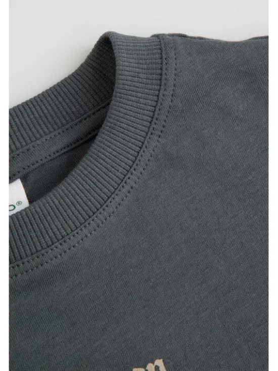 Coccodrillo Longsleeve ZC6143101RBK-020 Szary Regular Fit