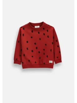 Coccodrillo Longsleeve ZC6143101SUN-017 Bordowy Regular Fit