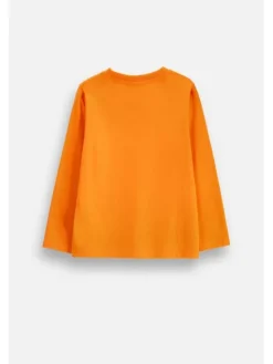 Coccodrillo Longsleeve ZC6143101VUA-006 Pomarańczowy Regular Fit