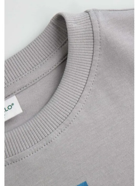 Coccodrillo Longsleeve ZC6143103WBJ-019 Szary Regular Fit