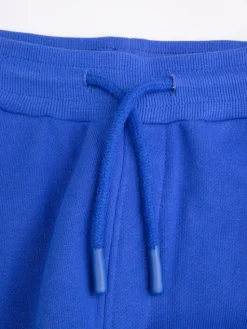 Coccodrillo Spodnie dresowe WC5120102VBA Niebieski Regular Fit