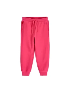 Coccodrillo Spodnie dresowe ZC6120103SGK-029 Różowy Regular Fit