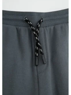 Coccodrillo Spodnie dresowe WC6120101RBJ-020 Szary Regular Fit