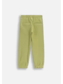Coccodrillo Spodnie dresowe ZC5120103ABK-012 Zielony Regular Fit