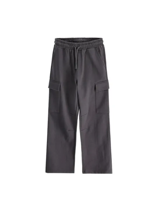 Coccodrillo Spodnie dresowe ZC6120204WBJ-020 Szary Regular Fit