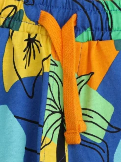 Coccodrillo Szorty sportowe WC5121501TBK Kolorowy Regular Fit
