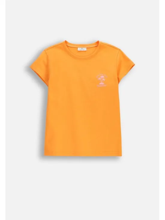 Coccodrillo T-Shirt WC6143205JGJ-006 Pomarańczowy Regular Fit