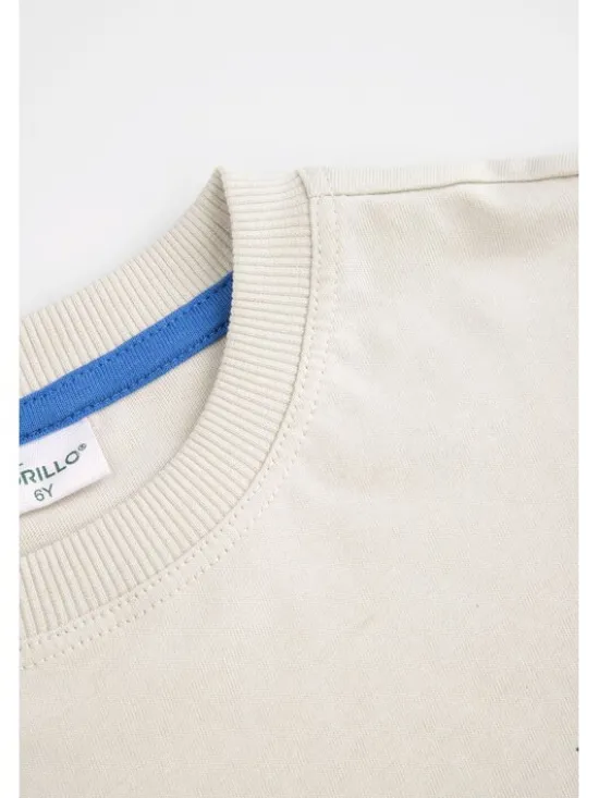 Coccodrillo T-Shirt WC6143204RBK-019 Szary Regular Fit