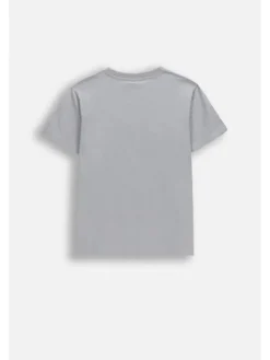 Coccodrillo T-Shirt WC6143209VBA-019 Szary Regular Fit