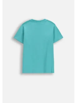 Coccodrillo T-Shirt WC6143223VBA-013 Turkusowy Regular Fit