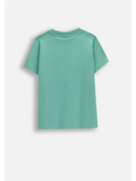 Coccodrillo T-Shirt WC6143235VBA-011 Zielony Regular Fit