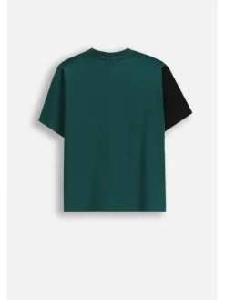 Coccodrillo T-Shirt ZC5143201ABJ-022 Kolorowy Regular Fit