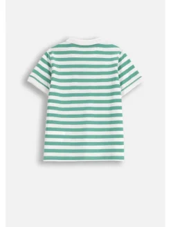 Coccodrillo T-Shirt ZC5143601ABK-011 Zielony Regular Fit