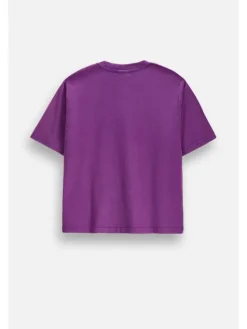 Coccodrillo T-Shirt ZC6143204HGJ-016 Fioletowy Regular Fit