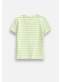 Coccodrillo T-Shirt ZC6143203HGK-022 Kolorowy Regular Fit