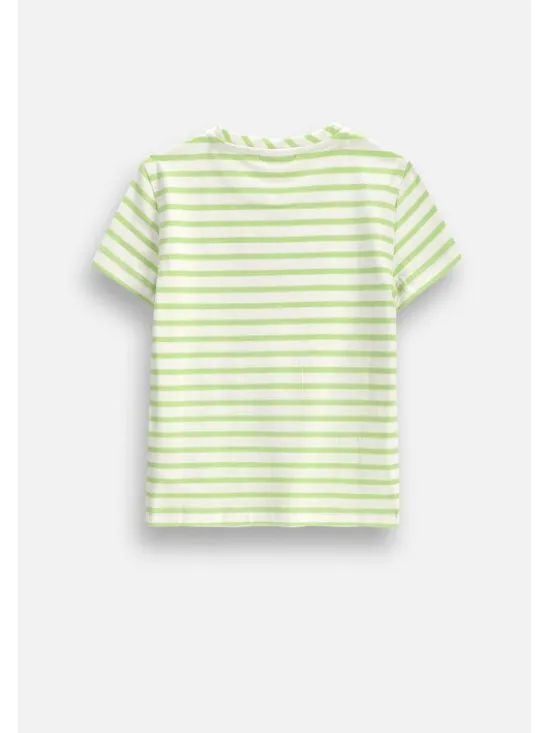 Coccodrillo T-Shirt ZC6143203HGK-022 Kolorowy Regular Fit