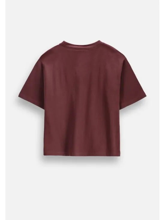 Coccodrillo T-Shirt ZC6143213LGD-017 Bordowy Regular Fit