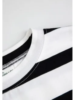 Coccodrillo T-Shirt ZC6143217LGD-022 Kolorowy Regular Fit