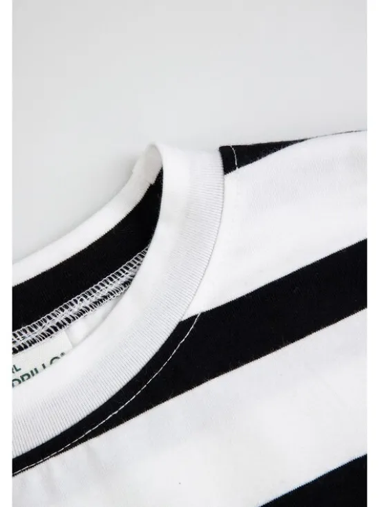Coccodrillo T-Shirt ZC6143217LGD-022 Kolorowy Regular Fit