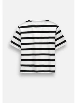Coccodrillo T-Shirt ZC6143217LGD-022 Kolorowy Regular Fit