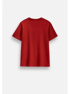 Coccodrillo T-Shirt ZC6143204RBJ-017 Bordowy Regular Fit