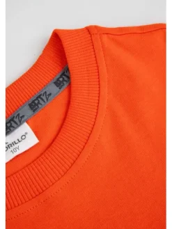 Coccodrillo T-Shirt ZC5143204SBJ-009 Czerwony Regular Fit