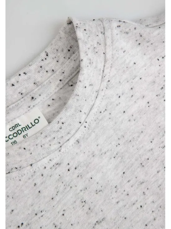 Coccodrillo T-Shirt ZC6143203TGK-019 Szary Regular Fit