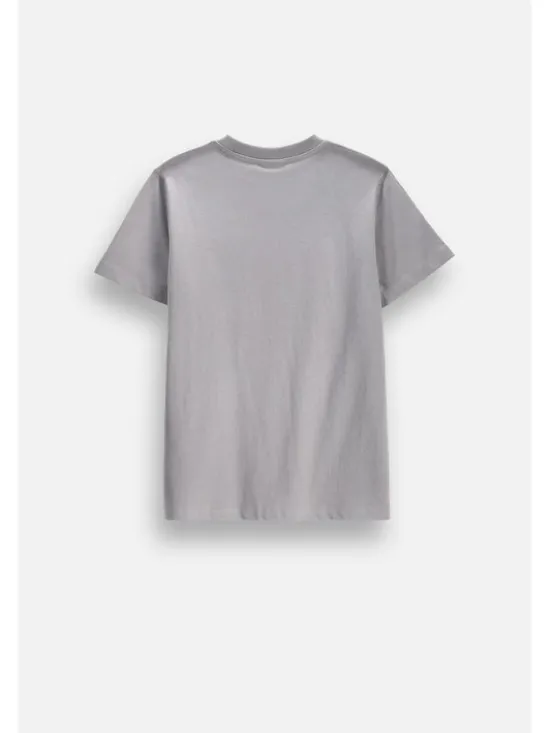 Coccodrillo T-Shirt ZC6143214VBA-019 Szary Regular Fit