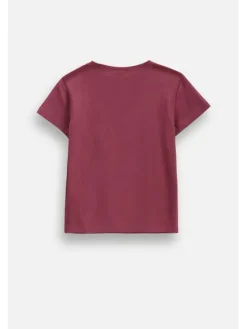 Coccodrillo T-Shirt ZC6143239VGA-017 Bordowy Regular Fit