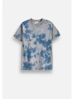 Coccodrillo T-Shirt ZC6143202WBJ-022 Kolorowy Regular Fit